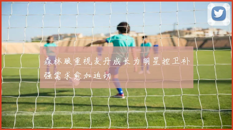 森林狼重视麦丹成长为明星控卫补强需求愈加迫切
