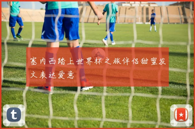 塞内西踏上世界杯之旅伴侣甜蜜发文表达爱意